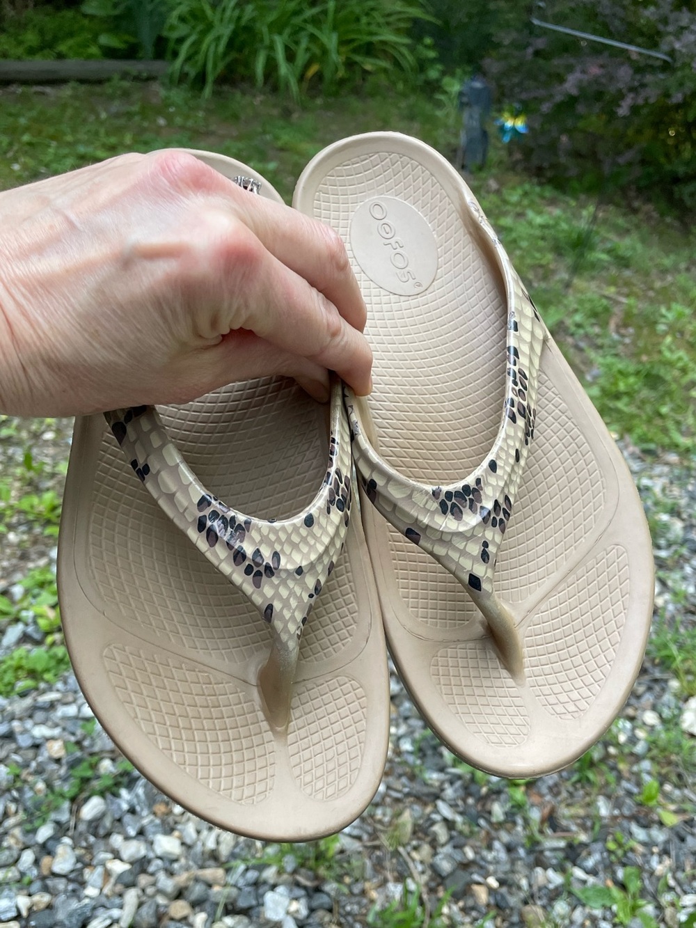 Oofos OOlala Limited Edition Sandals Size 8 In Desert Snake